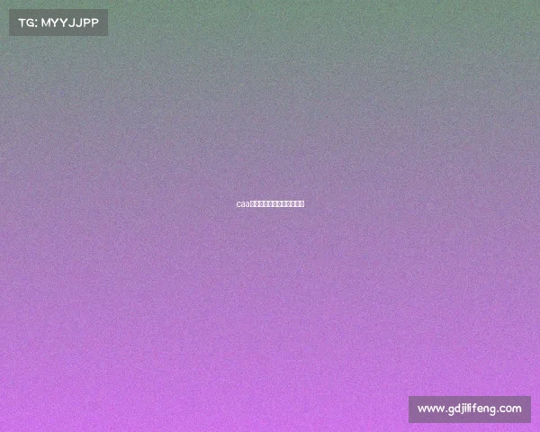 caa赛事用章国家比赛证书盖章